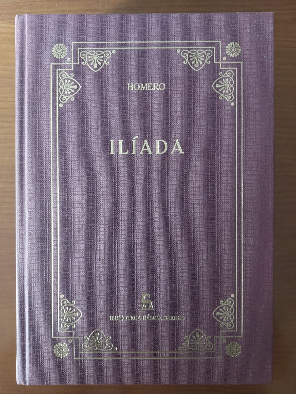 Ilíada (Ed Especial G)